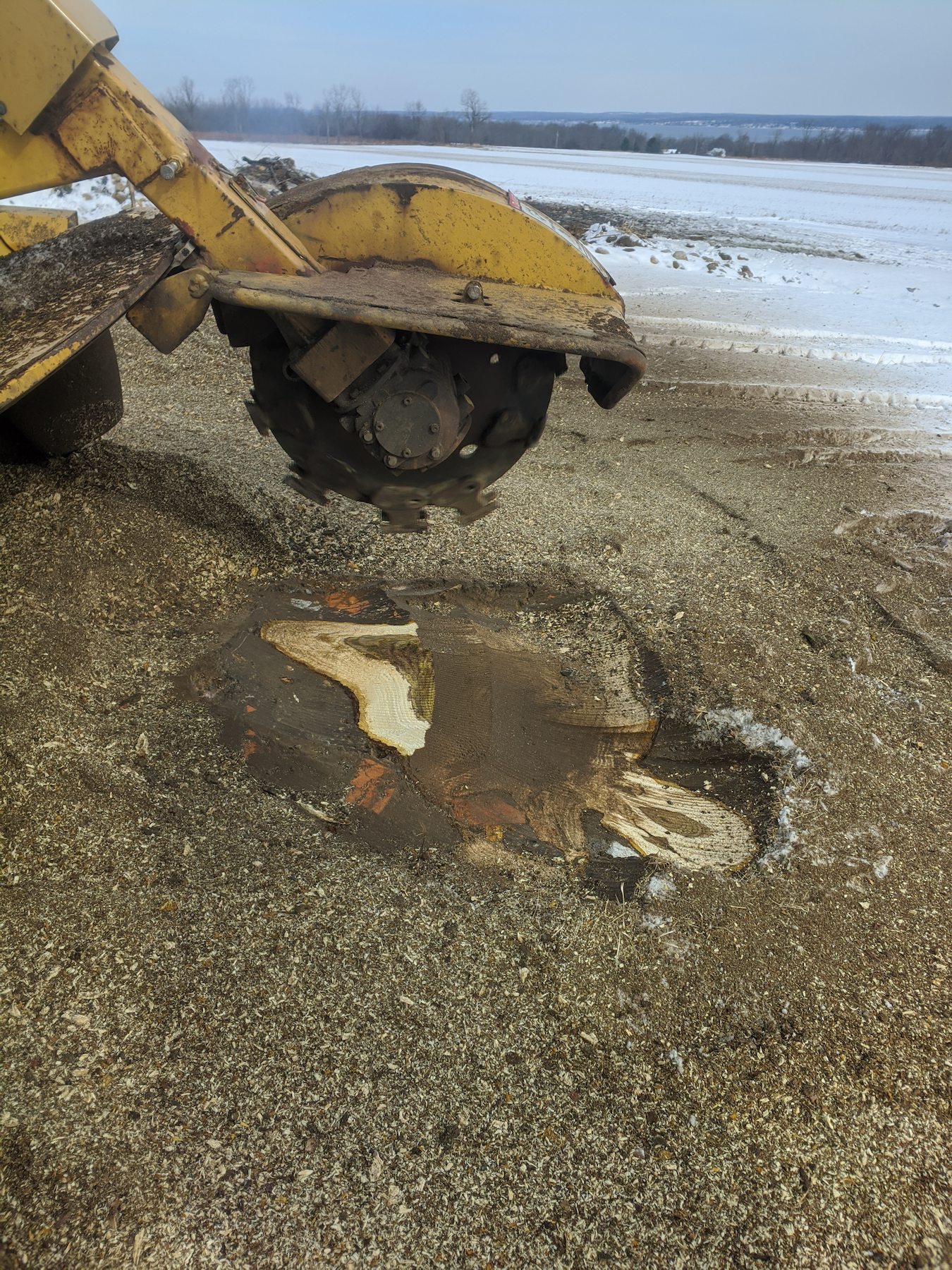 photo of the stump that already removed in upstate NY winter 2025