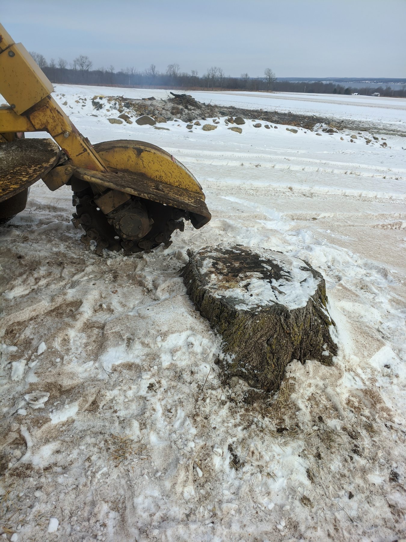 Stump grinding and surface leveling in upstate NY, winter condition jpeg