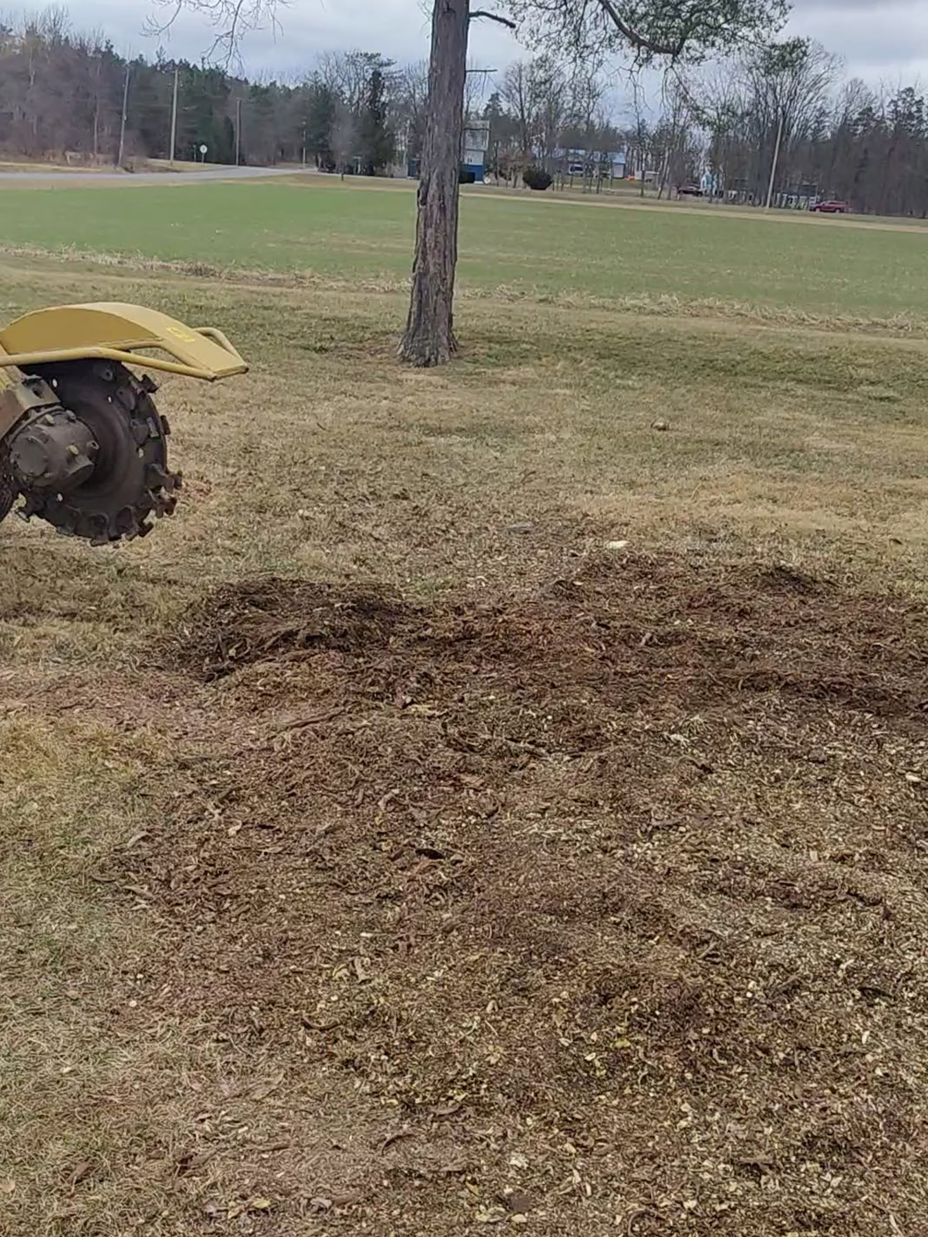 Stump-Griding-after