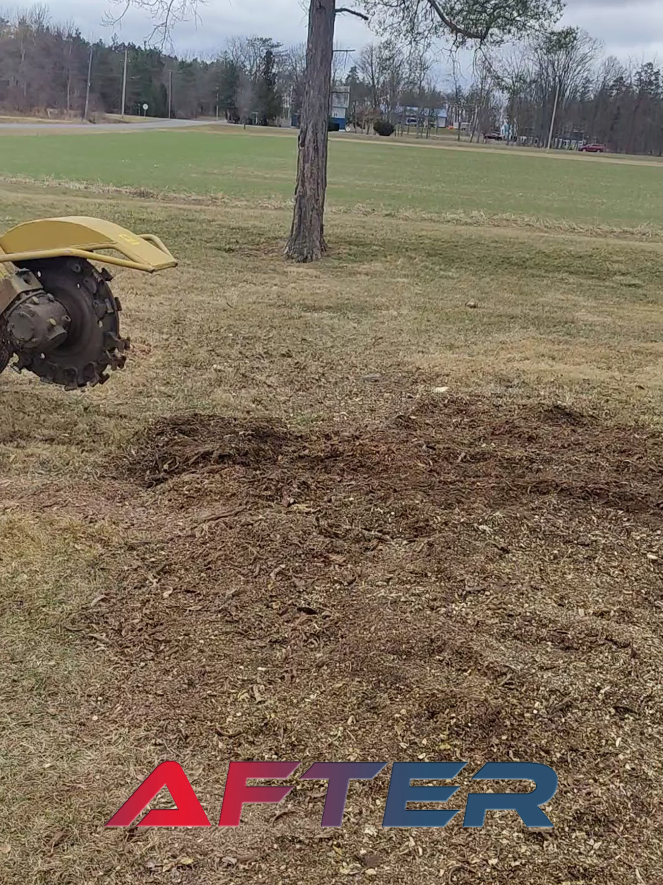 Stump grinding in NY, removed stump, may 2025 jpeg