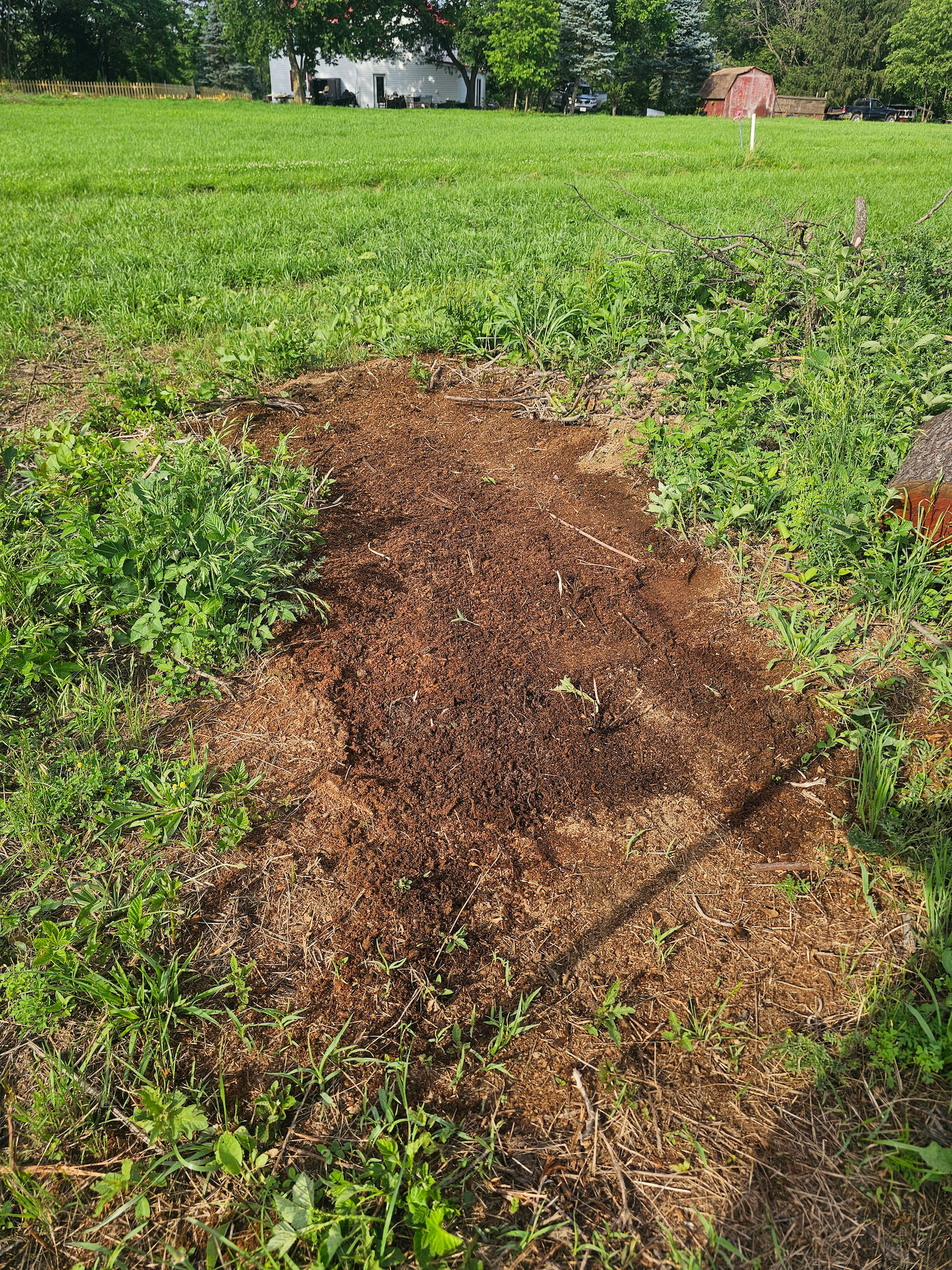 Stump removed in Virginia under harsh sunlight for field preparation in jpeg