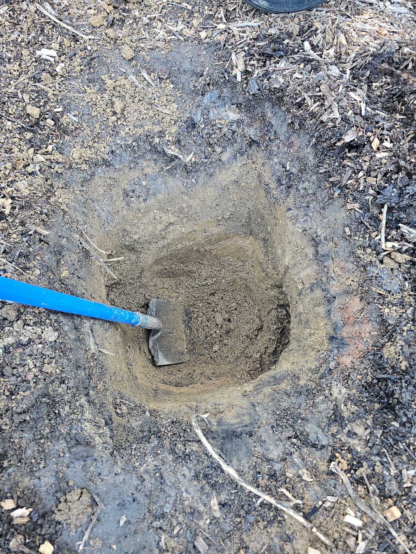 Stump grinding and surface leveling in upstate NY, winter condition jpeg