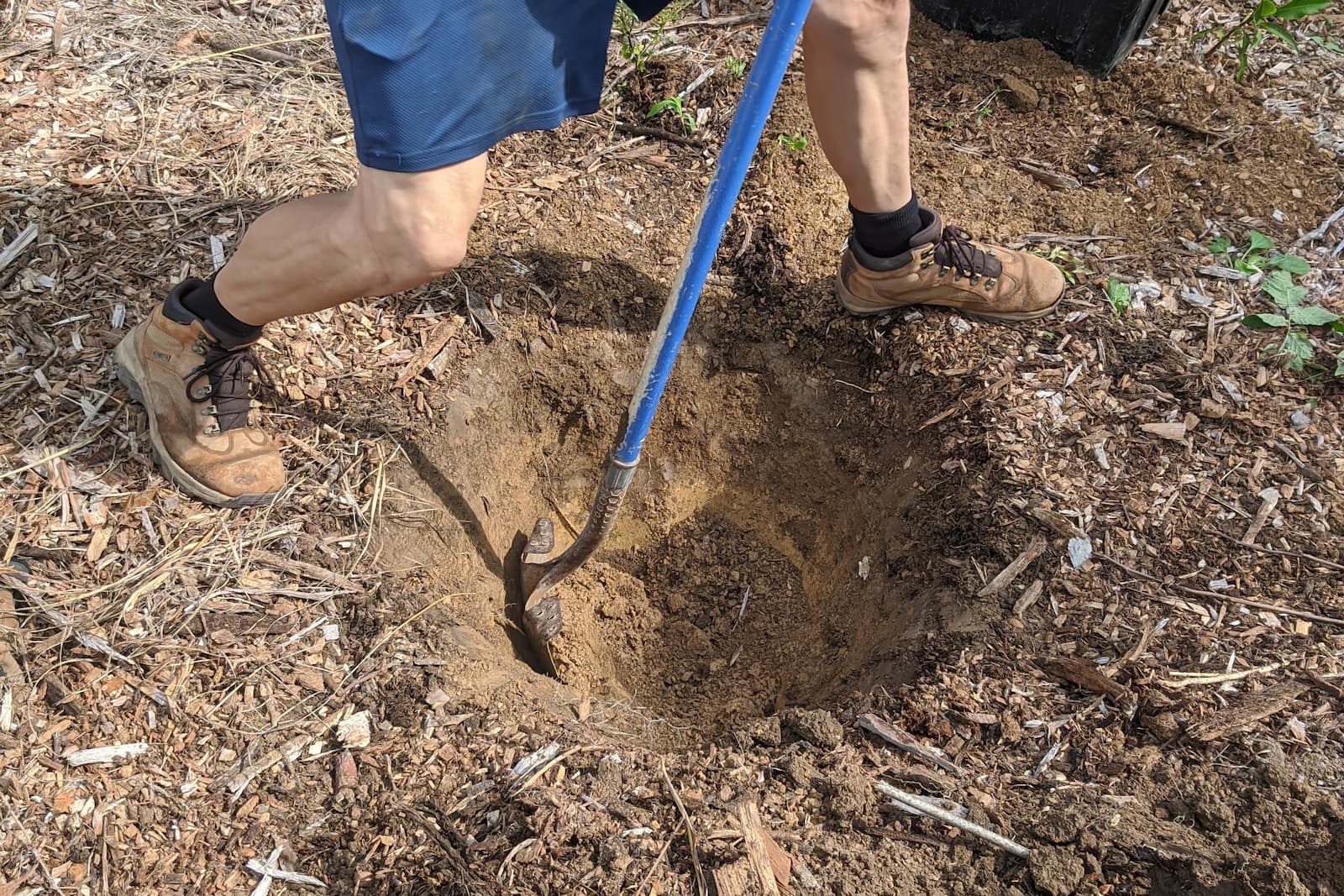man digging the hole for the tree